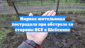 Мирная жительница пострадала при обстреле со стороны ВСУ в Шебекине