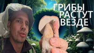 ШОК! Мы нашли ЦЕЛОЕ ПОЛЕ Боровиков!