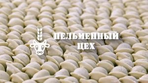 Цех тестовых полуфабрикатов ЗАО племзавод "ИРМЕНЬ"