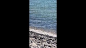 1000056358.mp4