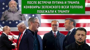После встречи на Аляске Путина и Трампа конвоиры Зеленского всей толпою побежали к Трампу. Вассерма