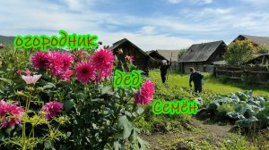 Дед Семён — огородник.