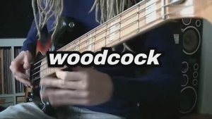 woodcock