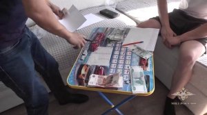 Ирина Волк: В Республике Татарстан полицейские выявили незаконную банковскую деятельность