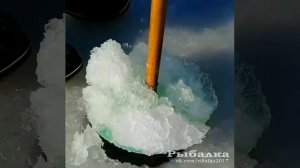 Видео от За Трофеем: Охота и Рыбалка