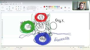 Практика с Цветотерапией, направленная на работу со своими внутренними, подсознательными, психологич