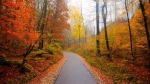 Долгая прогулка - музыка для релакса и вдохновения