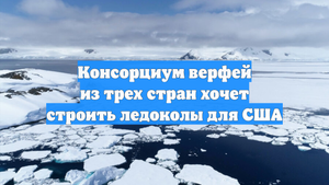 Консорциум верфей из трех стран хочет строить ледоколы для США