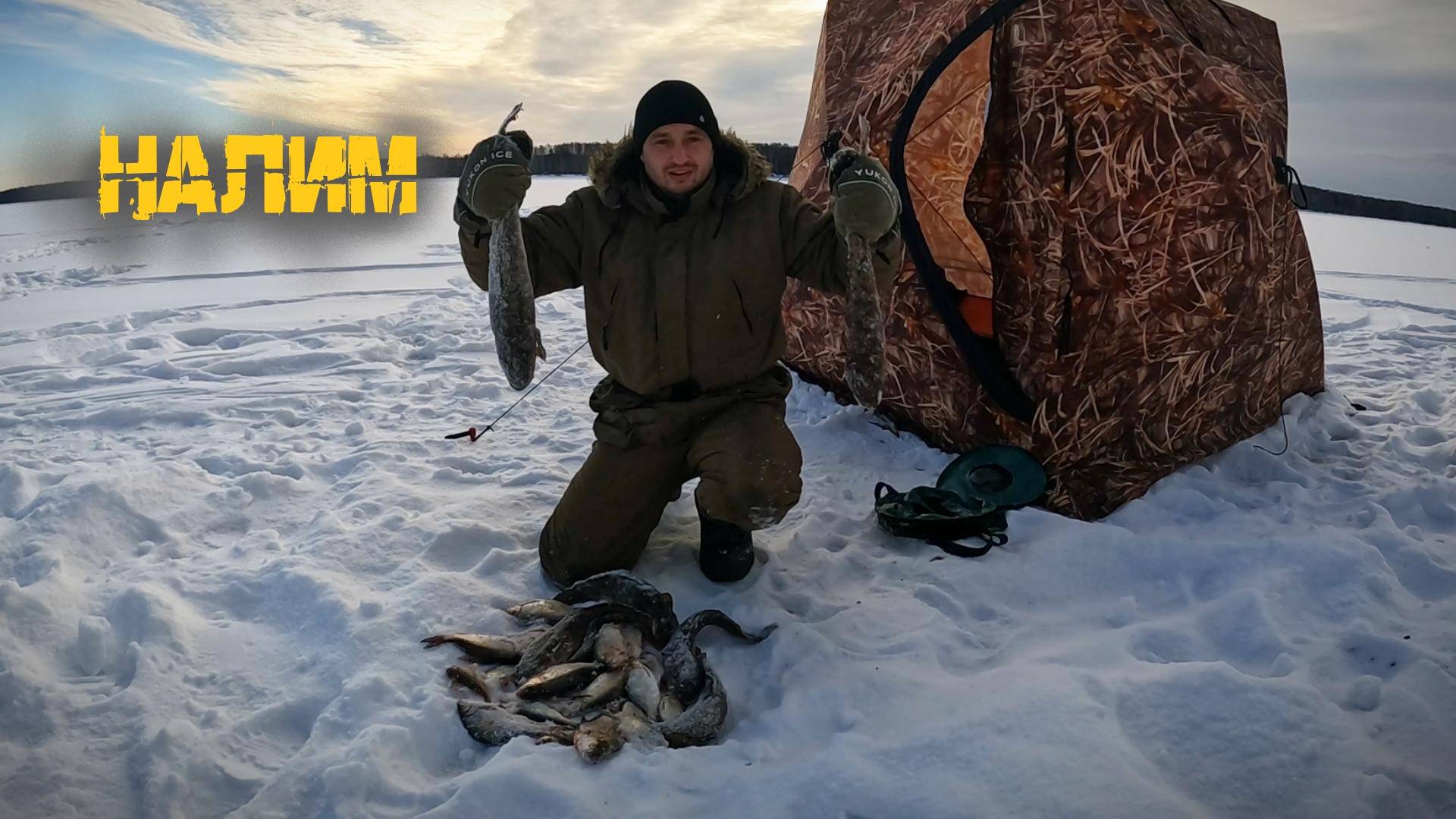 Ловлю налима под берегом! Старый дедовский метод, р.Кама