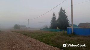 туман