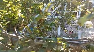 Утренний сад Универсолиса, Одесса. Мир Универсологии