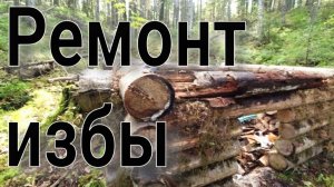 Прошёл до ближайшей избушки вскрыл крышу и понеслось замена верхнего венца поменял доски на нарах