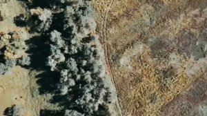 Отлов вражеских БпЛА сетями