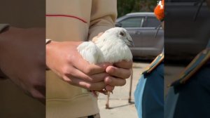 🔥 Чтим наших Героев! 🔥