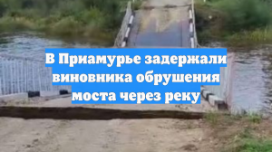 В Приамурье задержали виновника обрушения моста через реку