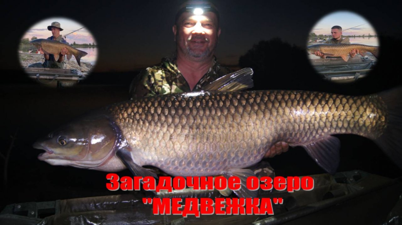РЫБАЛКА на БЕЛОГО АМУРА. Огромные рыбы загадочного озера "МЕДВЕЖКА"
