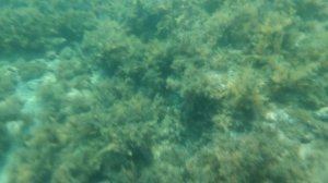 Чёрное море