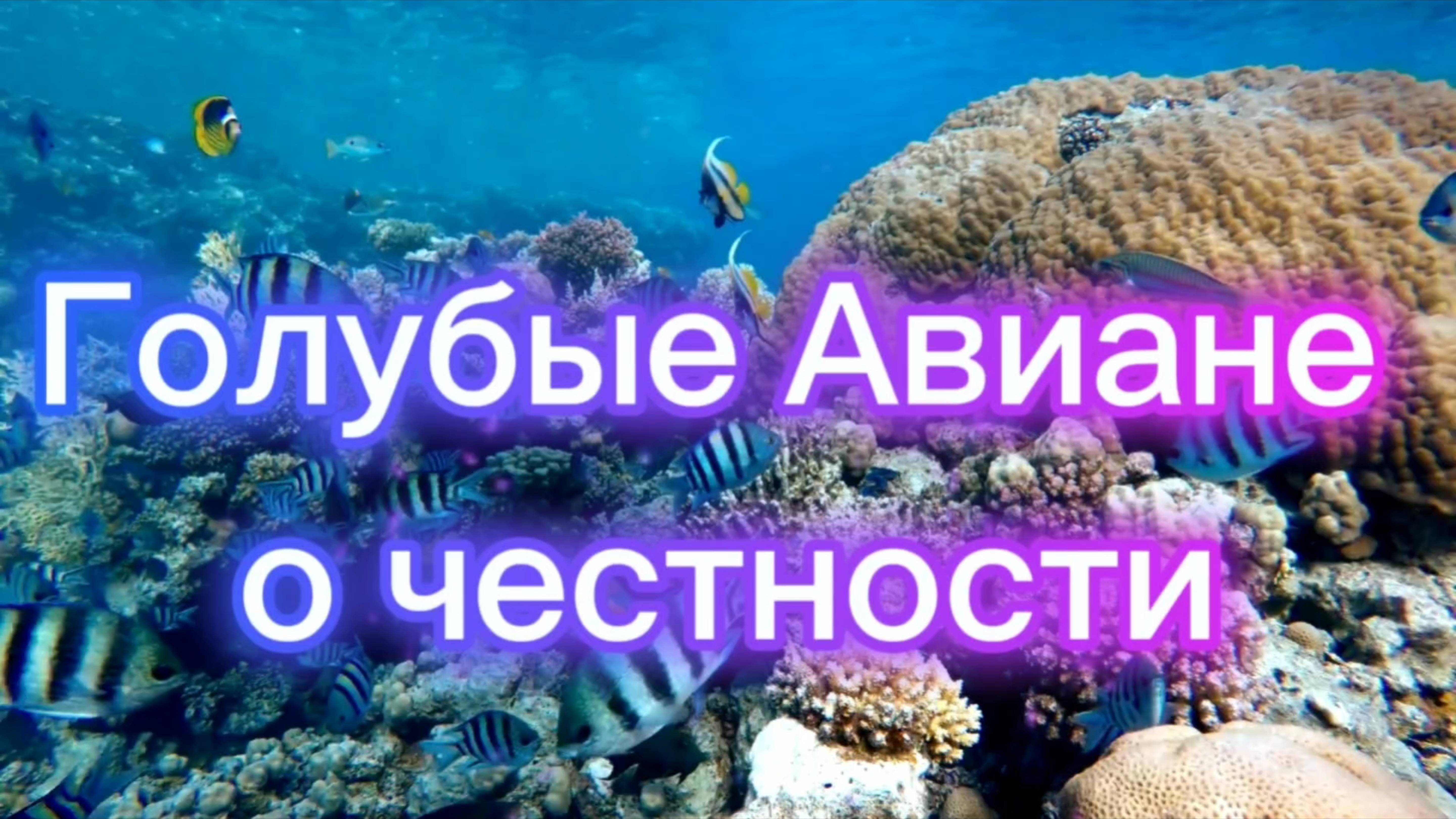 Голубые Авиане о честности 22.05.2025г (31 Послание)