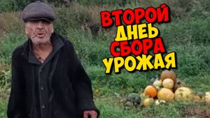 РУГАТЬ НЕ КОГО , ПОГОВОРЮ О СЕБЕ