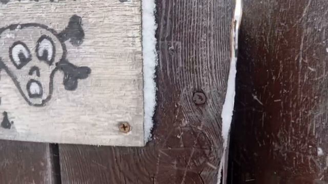 собакин на воротах кого-то сьел