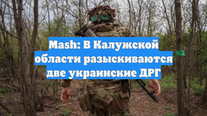 Mash: В Калужской области разыскиваются две украинские ДРГ