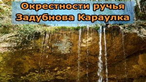 Окрестности ручья Задубнова Караулка