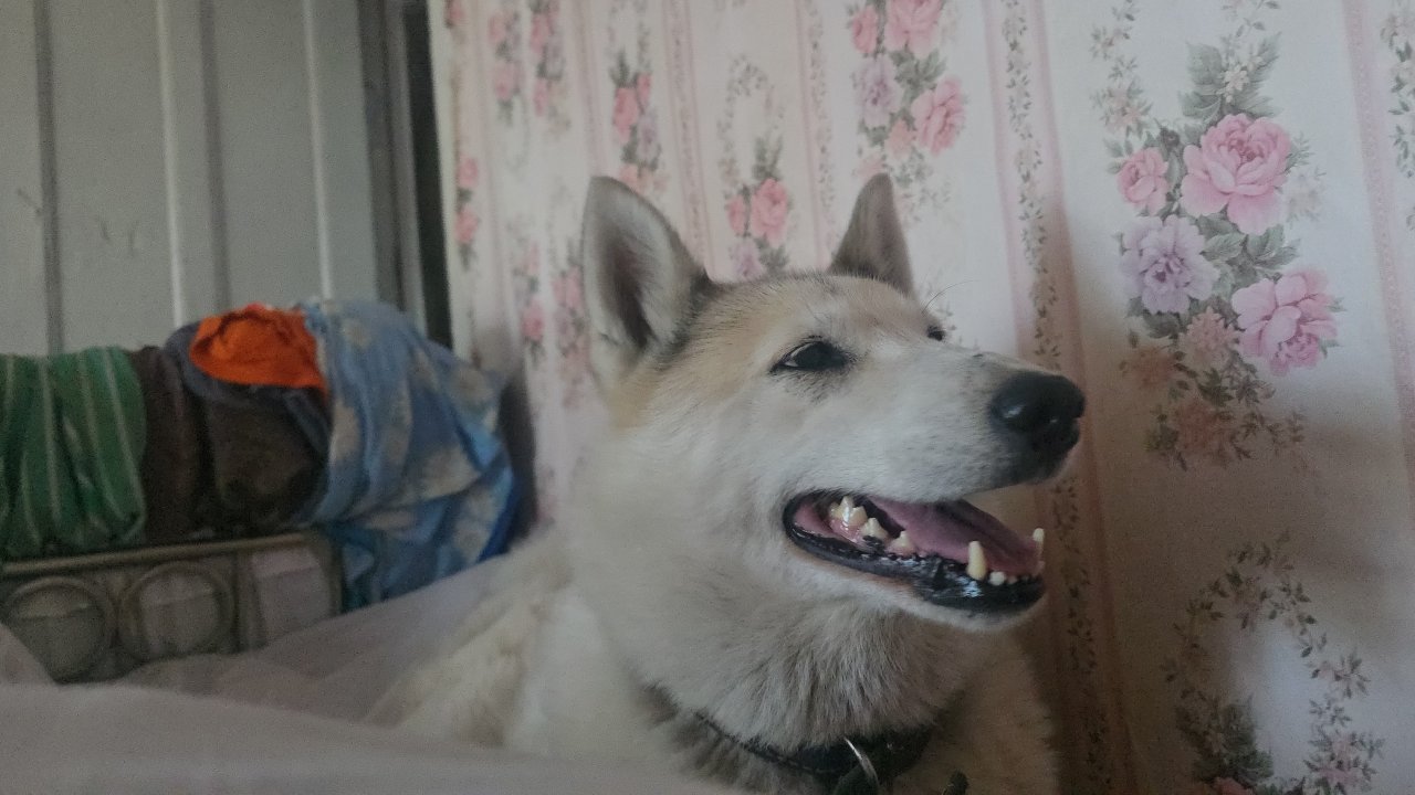 На белых простынях