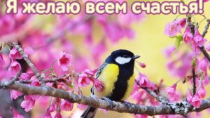 Молитва за мир во всем мире! Live 04.09.2025