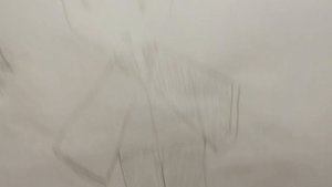 Рисовала сама :)