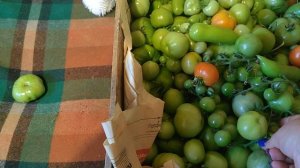 Добрый вечер четверга!