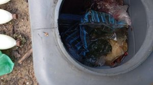 привез приваду мишане