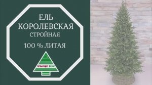 Triumph Tree - Обзор искусственной ели Королевская стройная 100% литая зелёная