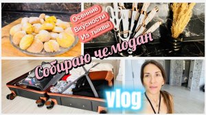 Собираю чемодан для поездки. Обновка для кухни