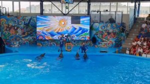 VID-20250826-WA0054.mp4