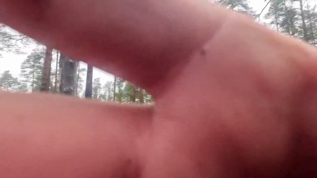 НАШЁЛ СТАРИННЫЕ ИЗБЫ В ТАЙГЕ ОБАЛДЕЛ. УВИДЕЛ ЭТО НА БОЛОТЕ. НАХОДКА В ГЛУШИ. ПОХОД ПОИСК ИЗБУШКИ