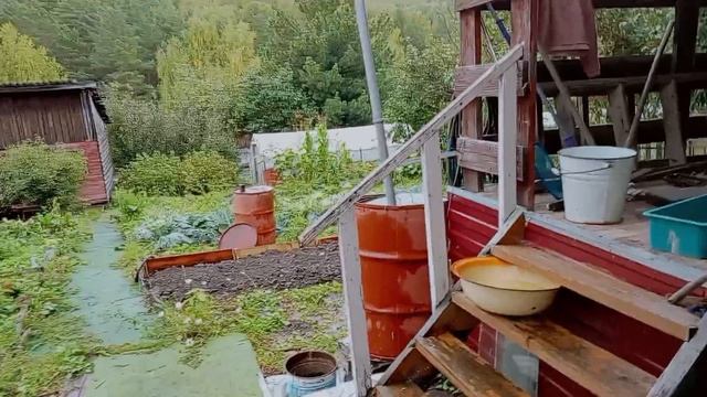 ДАЧНЫЙ ВЛОГ //ЧТО ВЫРОСЛО НА ГРЯДКЕ? ПЕРВЫЙ УРОЖАЙ 🥒МНОГО ВСЕГО ИНТЕРЕСНОГО))