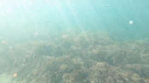 4.05. Под водой на 300 ступеней. Получил Гопро. Анапа.