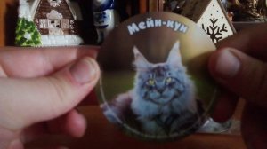 Распаковка фигурок кошек из магазина чижик. Очень интересный видос.