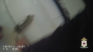 Житель Нижнего Новгорода, напавший на девушку с отвёрткой, задержан сотрудниками ППС за разбой