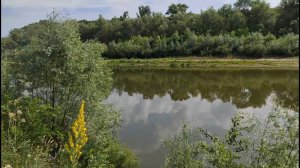 Рыбачу на реке Хопер. Что из этого получилось? Рыбалка на фидер