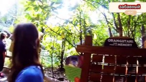 СУПЕР НАРЕЗКА ПРИКОЛОВ 2025 СМОТРЕТЬ ОНЛАЙН БЕСПЛАТНО