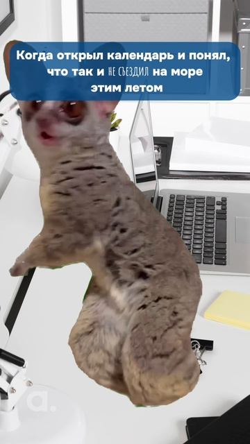 Вот и лето прошло... смотреть онлайн