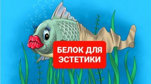 БЕЛОК ДЛЯ ЭСТЕТИКИ