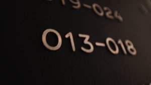 Брусника На Декабристов