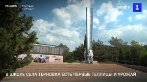 В школе села Терновка есть первые теплицы и урожай