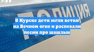 В Курске дети жгли ветки на Вечном огне и распевали песни про шашлык