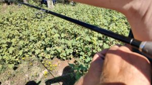 Как я рыбу ловила