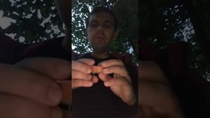 Перекус на улице на свежем воздухе, колбаса сервелат Финский варено-копченый папа может