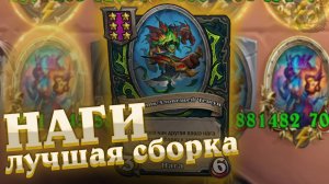 Как играют Наги. Сборка в мете КВЕСТОВ