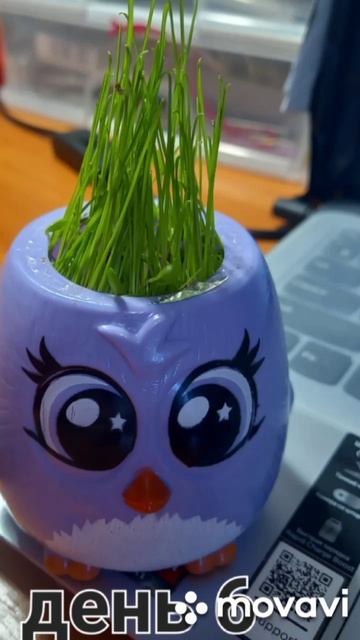 Лёвины первые цветочки.